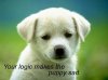 sad_puppy.jpg