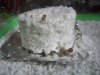 IMGP1329.JPG