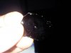 IMG00024-20101019-1639.jpg