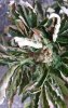 plant.jpg