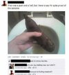 928938_926w_640h.jpeg