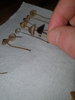 20191009_024448.jpg