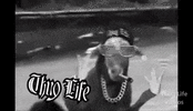 AntiqueHomelyAlbertosaurus-max-1mb.gif