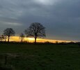 IMG_2299.jpeg