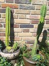 20260501_151753.jpg