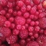muisjes