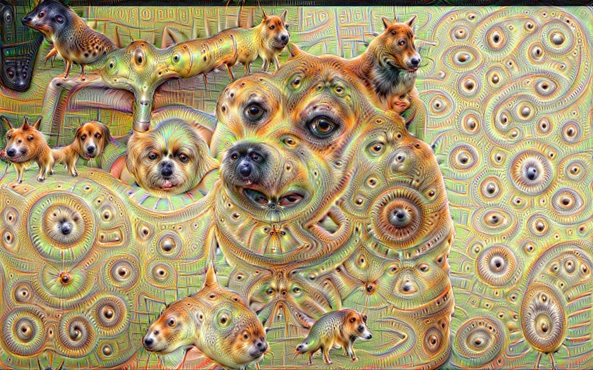 doge_3370416k.jpg
