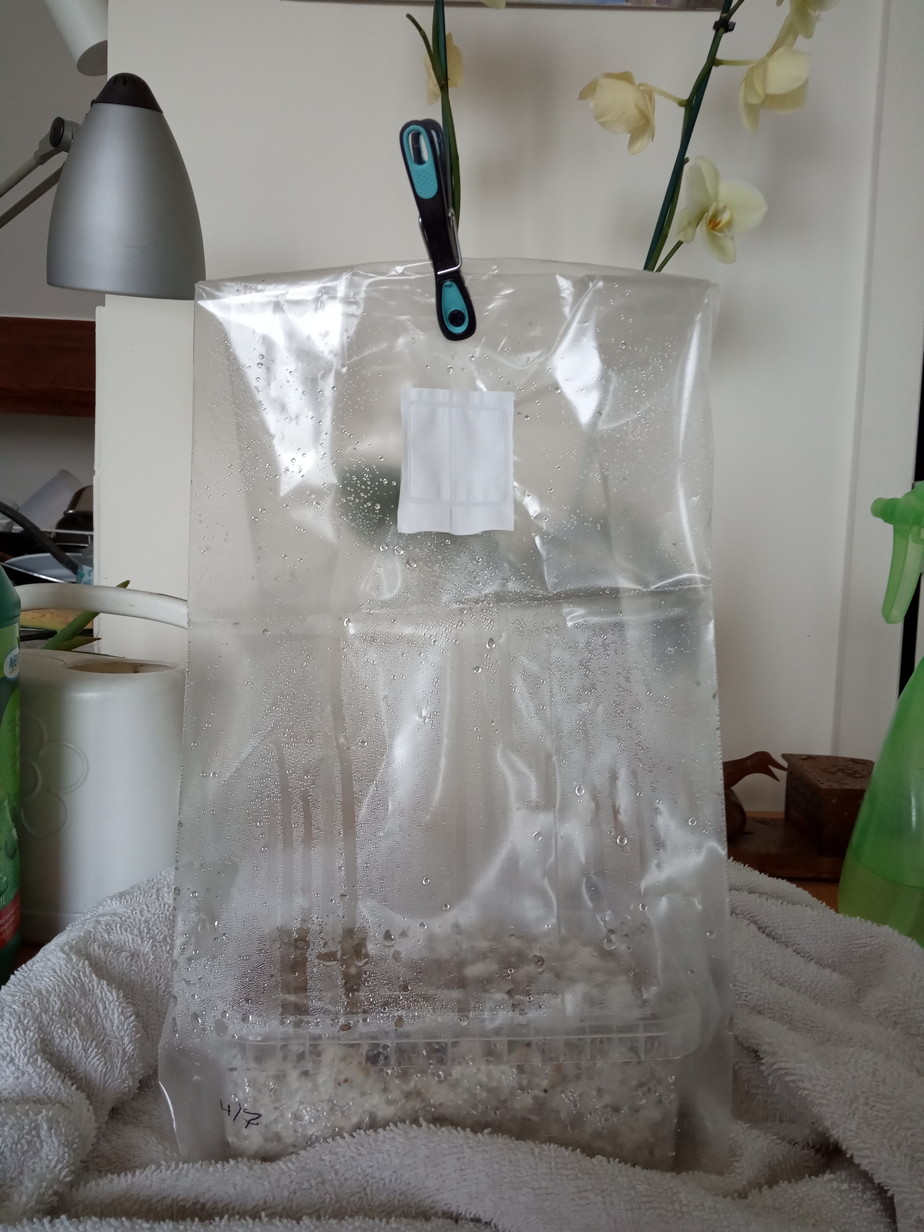 IMG-20190719-120939.jpg