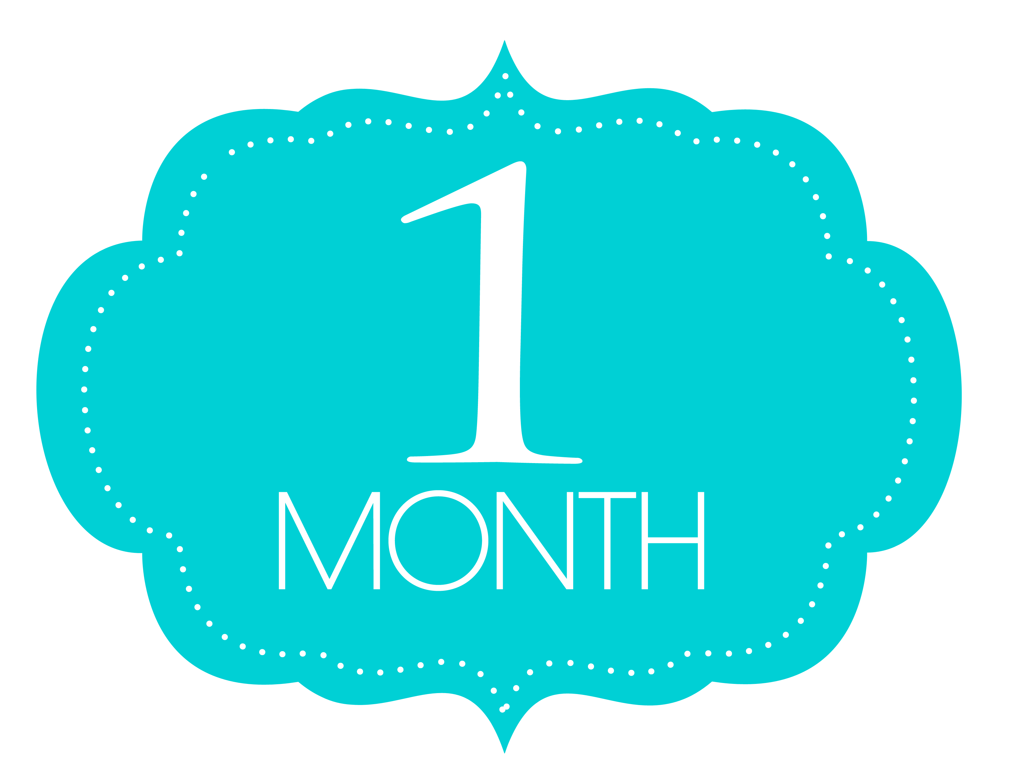 1-month.png